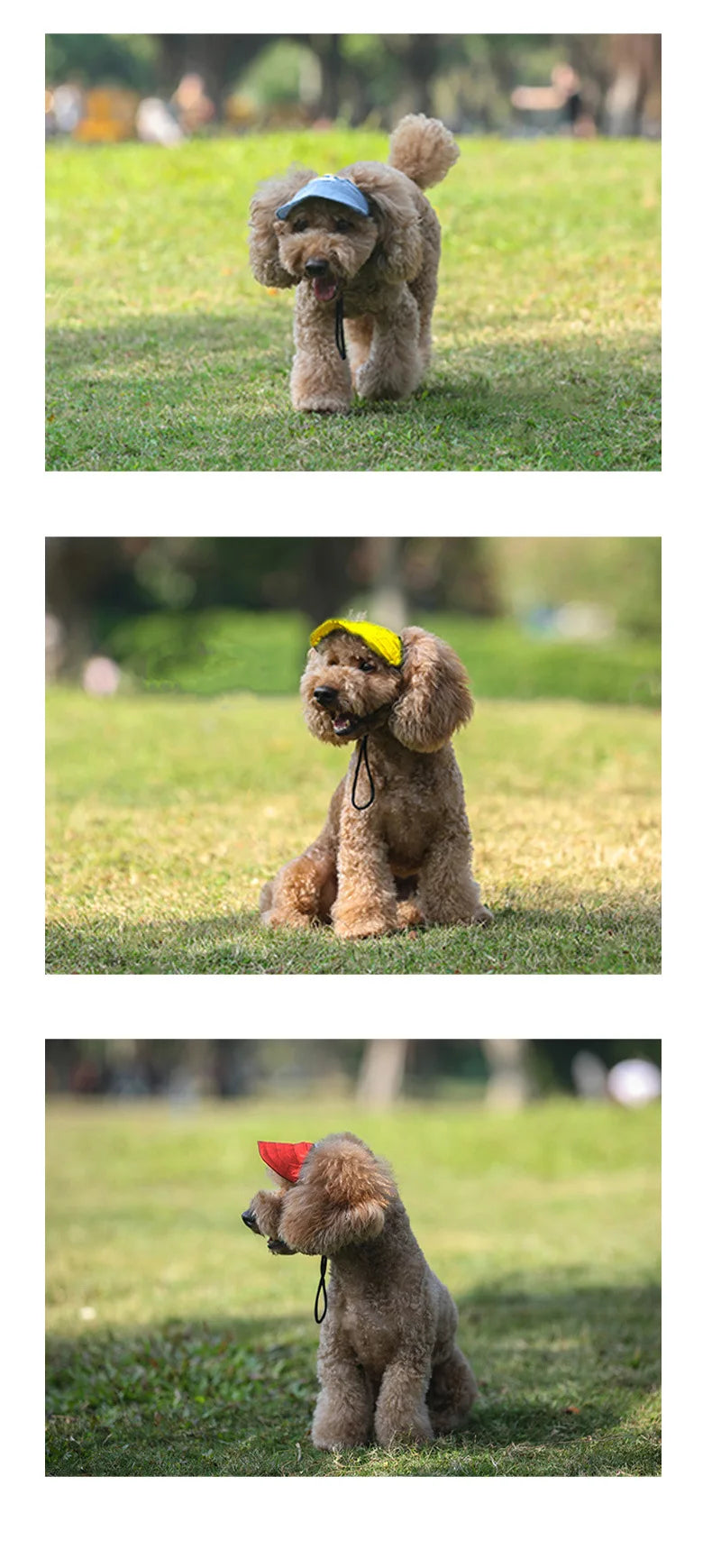 Pet Dog Hat Outdoor Summer