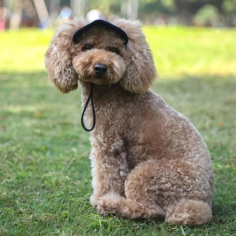 Adjustable Pet Dog Travel Cute Baseball Hat