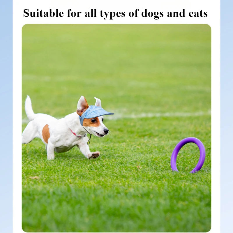 Pet Dog Hat Outdoor Summer