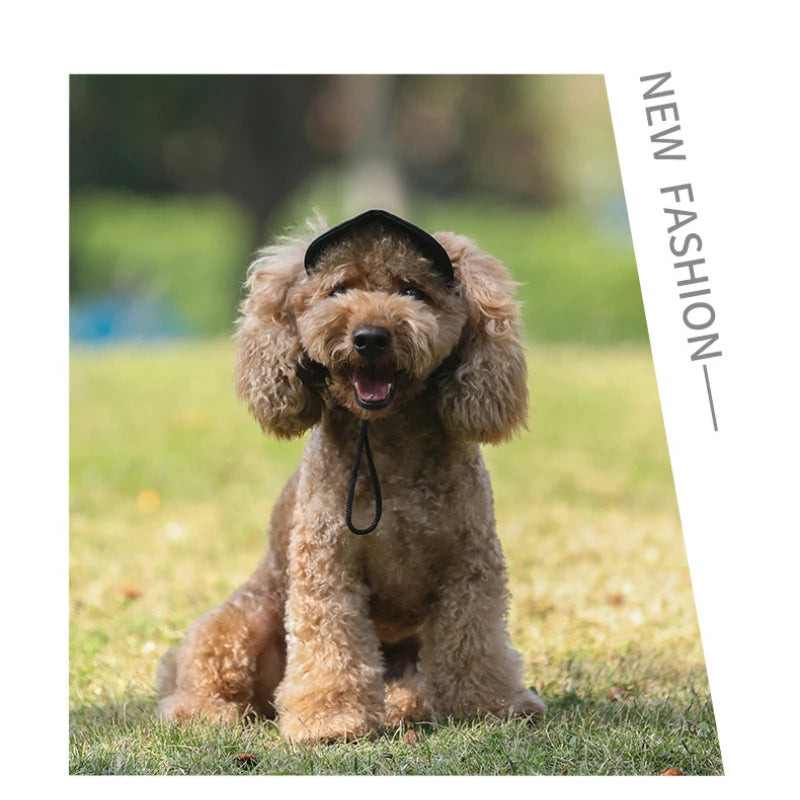 Pet Dog Hat Outdoor Summer