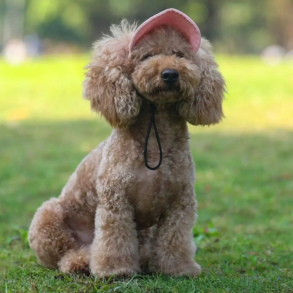 Adjustable Pet Dog Travel Cute Baseball Hat