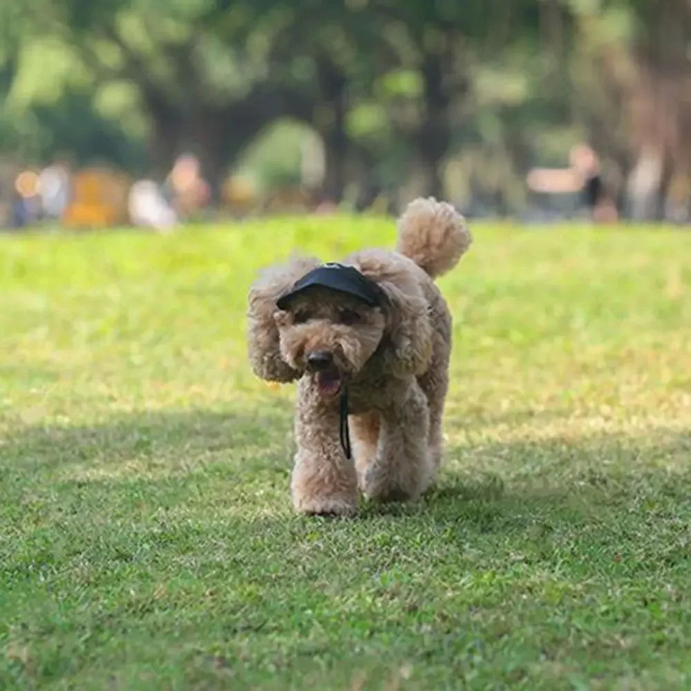Adjustable Pet Dog Travel Cute Baseball Hat